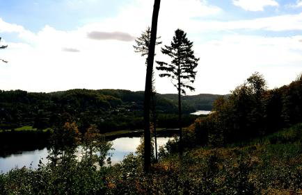 Przystanek Patulskie - Foto 55