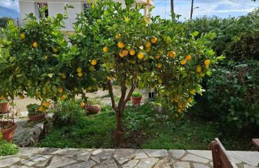 Suli Residences - Foto 15