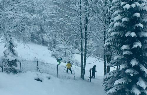 Cerla Korbielów - Foto 24