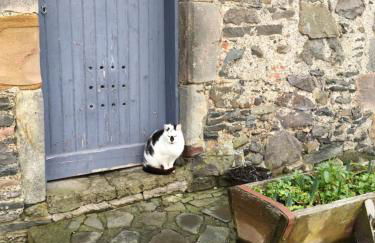 Winkston Holiday Accommodation Peebles - Foto 18