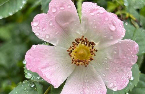 The Captain's House - Photo 23