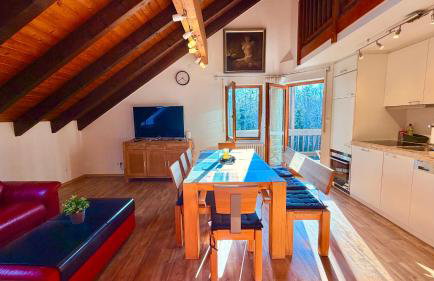 Waldapartments Titisee - Foto 63