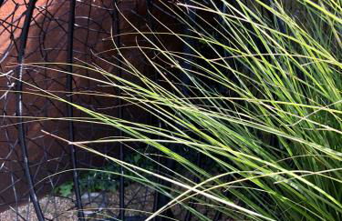 Ferienhaus Eifel-Auszeit - Foto 31