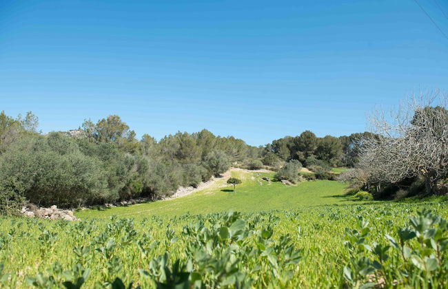 Agroturisme Perola - Adults Only - Foto 29