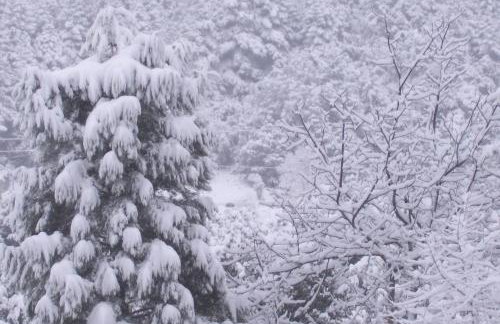 Mainades House - Photo 28