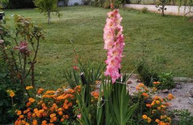 Villa Ylagiali - Foto 23