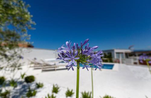 Villa Bianca - Foto 45