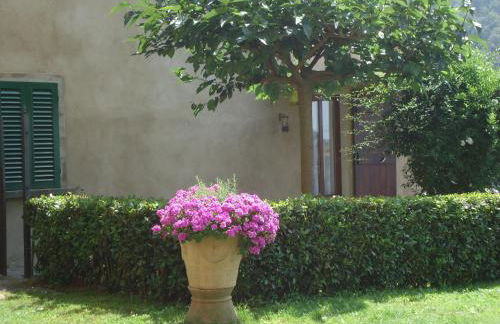 Villa di Papiano - Foto 8