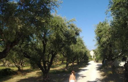 Blue Studios by Irene - Photo 24