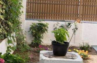 Rodi House - Foto 2