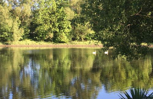 Ferienhaus Hankel - Foto 20