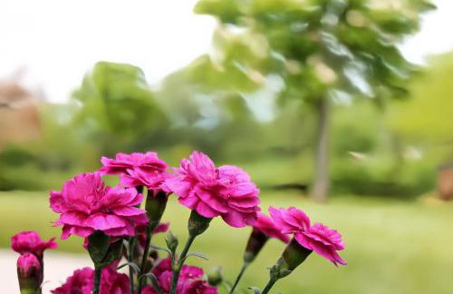 Casa Clorofilla - Umbria, Private Garden - Photo 7