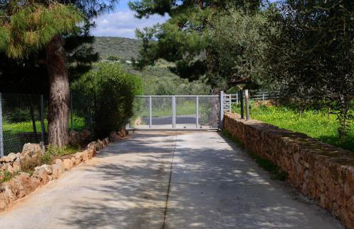 Eleni's House - Photo 6