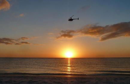 Caprice 401 - Photo 46