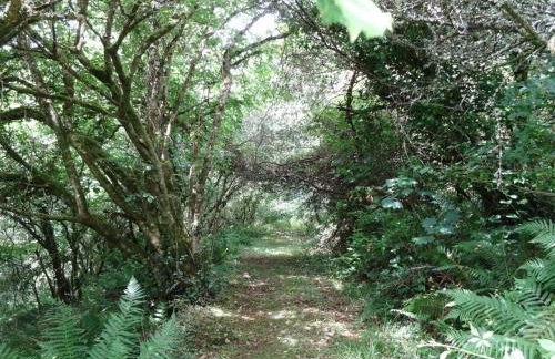 Swift Cottage - Foto 29