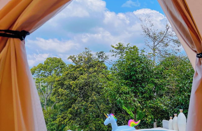 Kamanicamp - Foto 12