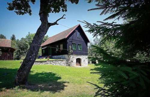 Šajnska Hiža, autentična goranska kuća u prirodi - Foto 1