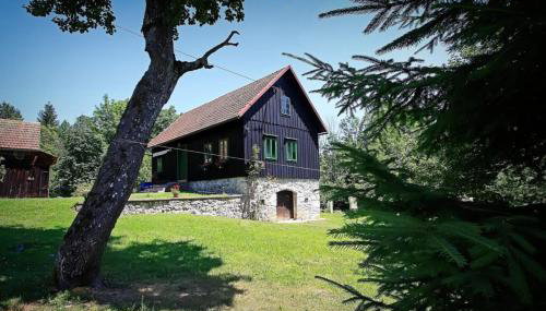 Šajnska Hiža, autentična goranska kuća u prirodi - Foto 1