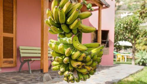 Casa Elvira Hermigua - Foto 4