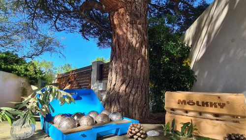 Villa Babeth by Nuits au Port - Foto 5, Game Room