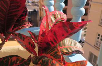 Apartamentos San Jose - Foto 51