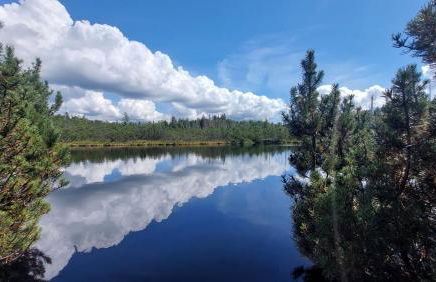 Helle, lichtdurchflutete Ferienwohnung im Herzen des Bayerischen Waldes, Nationalparknähe - Foto 37