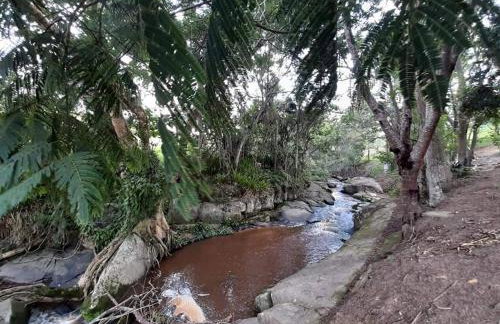 Pousada Natalia Canella - Foto 13