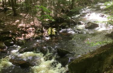 Ferienwohnung Quedlinburg OT Gernrode Harz - Foto 16