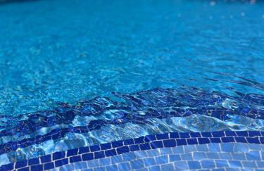 PARADISE GARDEN - Photo 44