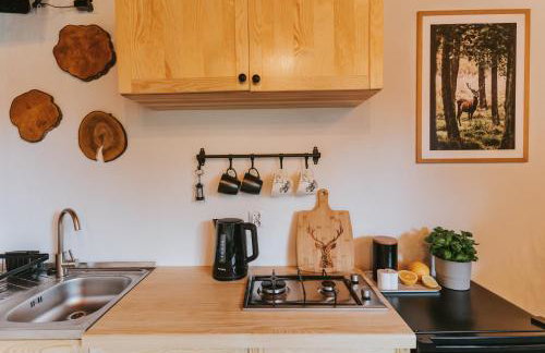 Nowe Domki Jeleni Szlak - Foto 27