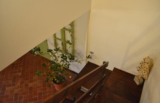 Agriturismo Cipolli e Podò Corte Carlini - Foto 23