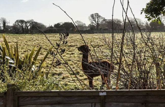 3bd Family Beach Retreat in West Wittering - Foto 4