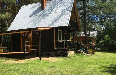 Dom w Puszczy - Foto 2