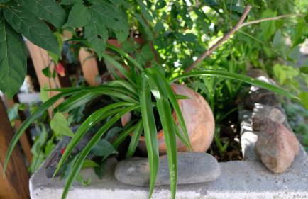 Casa do Sr. Falcão - Foto 21