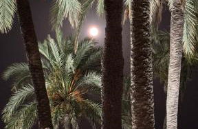 BENALBEACH Vista al Mar - Foto 32