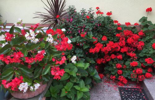 Gîte FLEUR DE VIGNES - Foto 25