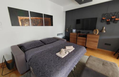 Zagreb Lodge Apartment - Foto 17