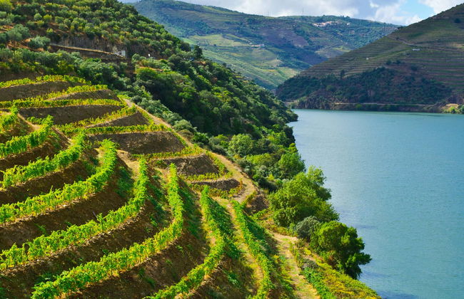 Régua Day Cruise - Foto 2