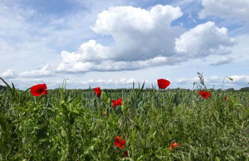Ostseehaus Ulrich - Foto 38