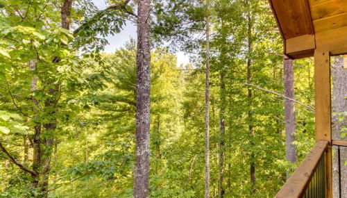 Deer Crossing - Foto 4