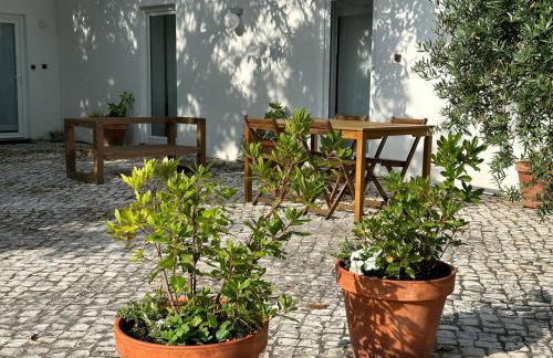 Casa das Ribeiras - Foto 2