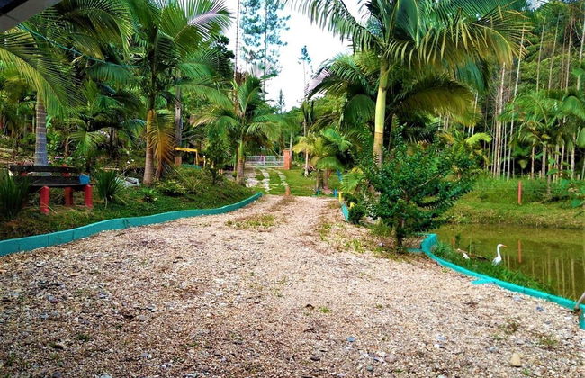 Sitio Libardo - Nova Trento - SC - Foto 41