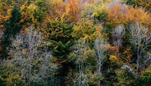 Observatory at South Downs Stay - Foto 3