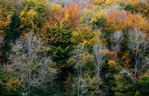 Observatory at South Downs Stay - Foto 3