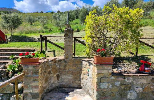 Agriturismo LUCERTOLA - Foto 39