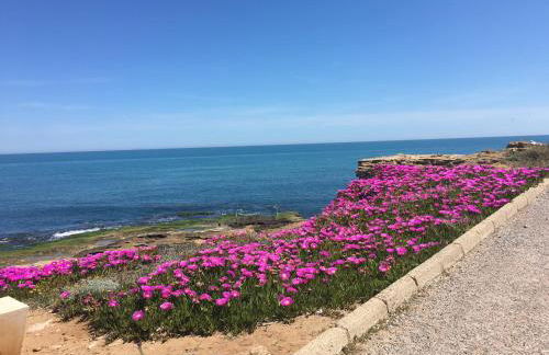 Mimosa Apartment - Foto 7