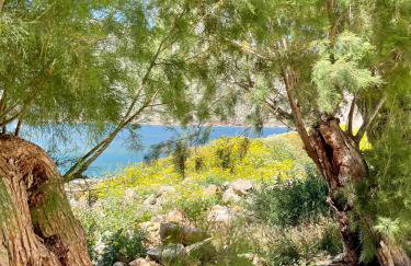 Villa Eirini - Peace and tranquility - a hideaway - Foto 50