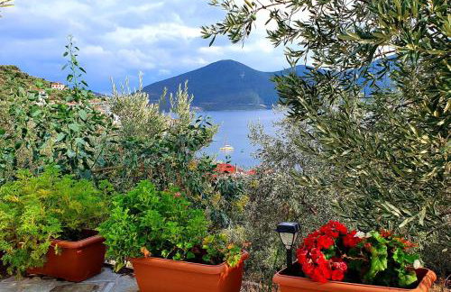 Sea view Goldins house - Foto 24