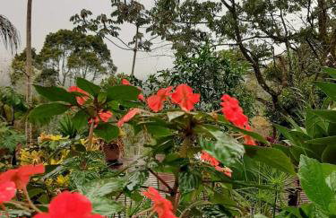 Chalé Pakere Bellavista - visão magnífica do vale e montanhas a mais de mil metros de altitude, wi-fi, sauna, piscina e água de nascente - locação do chalé sem prestação de serviços - Foto 74