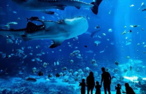 King Bed 5 min walk Truist Park The Battery - Foto 23